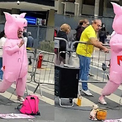 Homem ataca 'Porquinho da Paulista' com garfo em incidente curioso na cidade