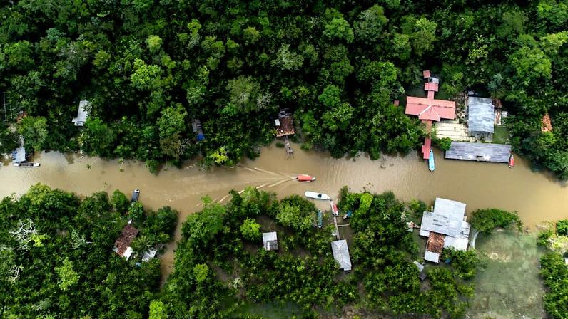 Río Guama e a ilha Combu na selva amazônica, em Belém, Brasil (Foto: Reprodução)