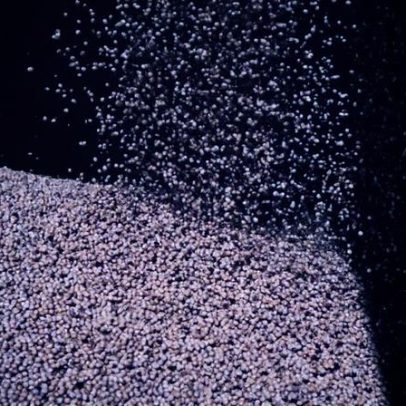 Brasil aumenta processamento de soja em 2025 impulsionado pela demanda por biodiesel