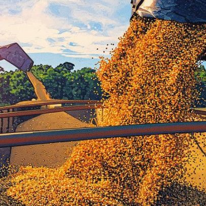 Desempenho do agro no 2º trimestre de 2025 deve surpreender analistas econômicos