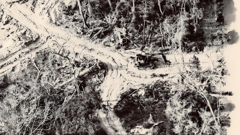 Escavadeira opera em área de garimpo na Amazônia (Foto: Reprodução)