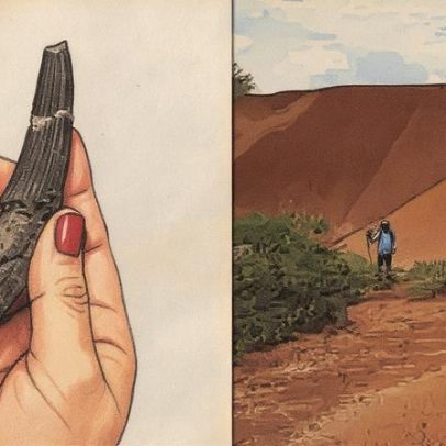 Descoberta de espinossauro no Peru revoluciona conhecimento sobre dinossauros na Amazônia