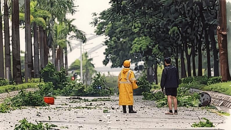 People inspect fallen trees in Hong Kong.