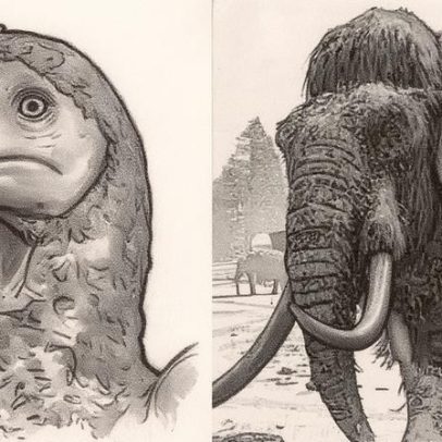 Cientistas tentam reviver espécies extintas como dodôs e mamutes através da biotecnologia