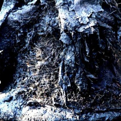 Cientistas resgatam DNA de bactérias de mamute com mais de um milhão de anos