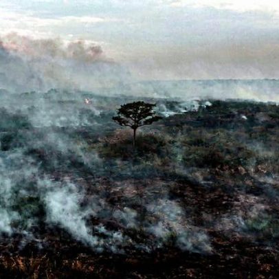 Buscas por 'ecoansiedade' aumentam 295% e revelam impacto das mudanças climáticas na saúde mental