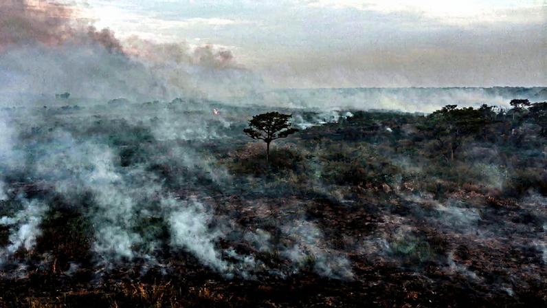 Estado de alerta causado pelas mudanças climáticas impulsiona busca por melhorias (Foto: Reprodução)