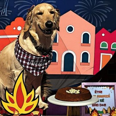 Mercado pet no Brasil deve desacelerar em 2025, mas continua em alta globalmente