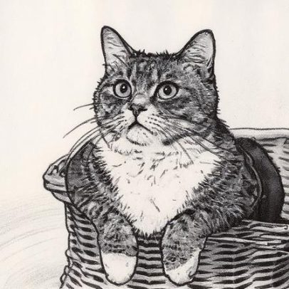 Gatos transformam o cérebro humano e o deles de maneiras surpreendentes