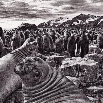Sebastião Salgado reflete sobre a conexão humana com a natureza e as montanhas