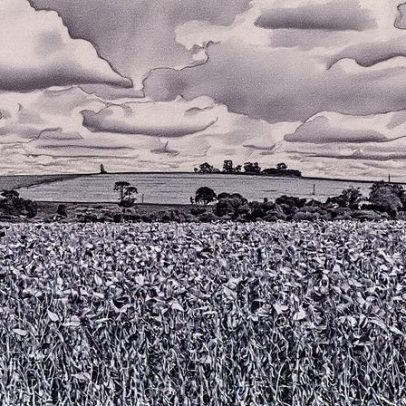 PIB do Paraná avança 3,8% no primeiro semestre impulsionado pelo agro e serviços