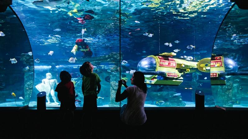 Uma família visita o aquário do parque temático de Legoland, em Billund, Dinamarca (Foto: Reprodução)
