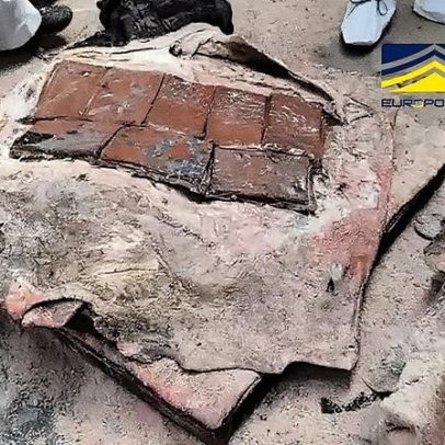 Cocaína é descoberta escondida em peles de bovino na Espanha