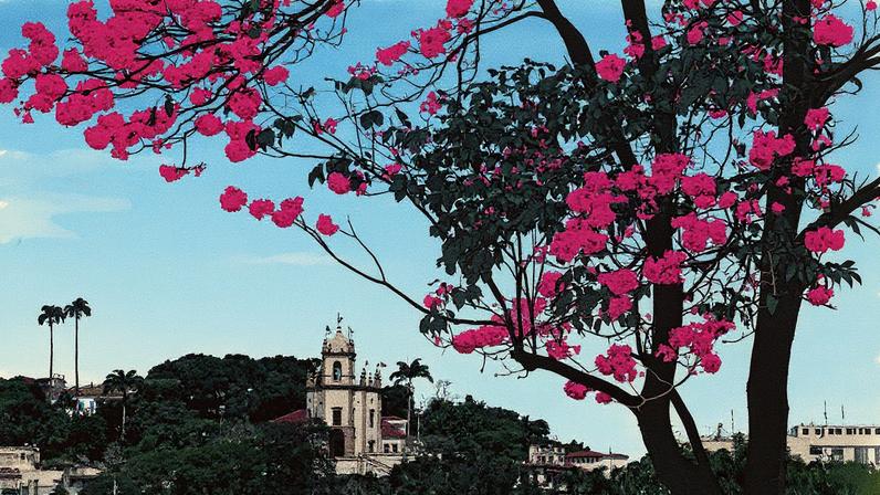 Município aguarda grande fluxo de turistas para a temporada (Foto: Reprodução)