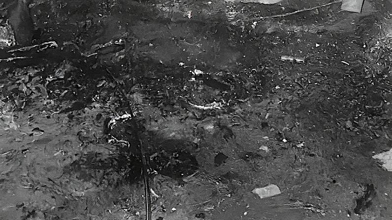 Carros usados em um crime, sendo que um deles foi queimado após o assassinato (Foto: Reprodução)