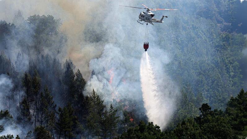 Primeiro-ministro espanhol admite que ações contra incêndios foram insuficientes após quatro mortes (Foto: Reprodução)
