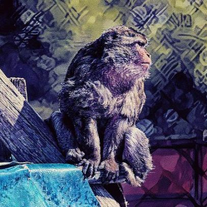 Cientistas desenvolvem prótese de retina para devolver a visão a animais cegos