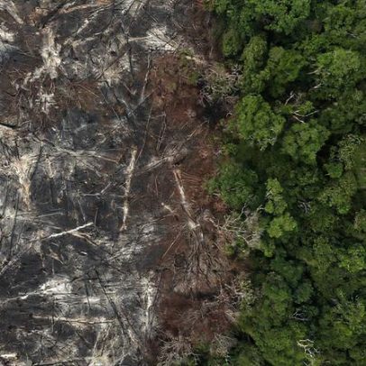 Rede ancestral se mobiliza em meio ao colapso social e ambiental