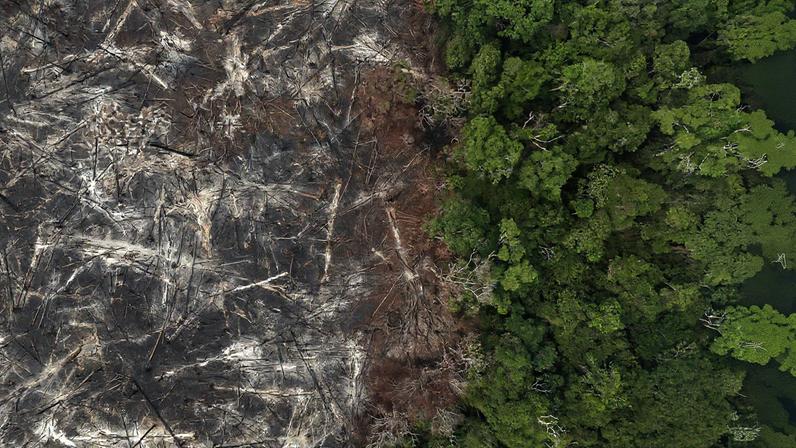 Área de floresta amazônica desmatada entre Santarém e Uruará, no Pará (Foto: Reprodução)