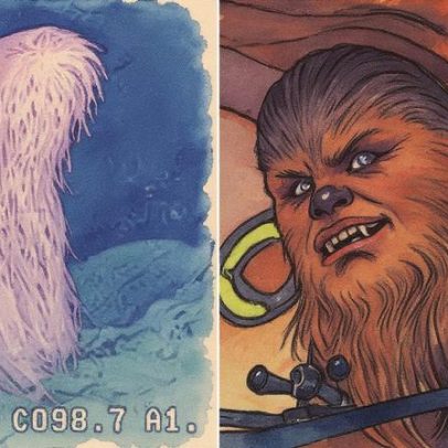 Cientistas batizam nova espécie de coral 'peludo' com nome de Chewbacca