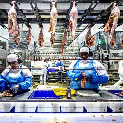 União Europeia reabre importação de carne de aves do Brasil após surto de gripe aviária