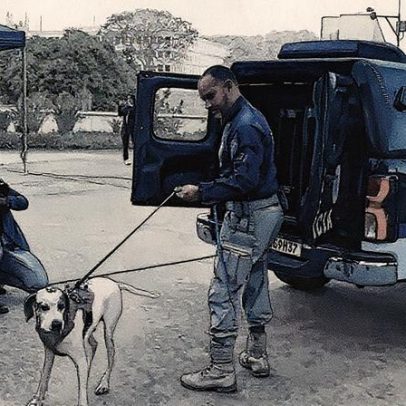 Polícia do Senado realiza varredura com cães e drones em segurança do STF