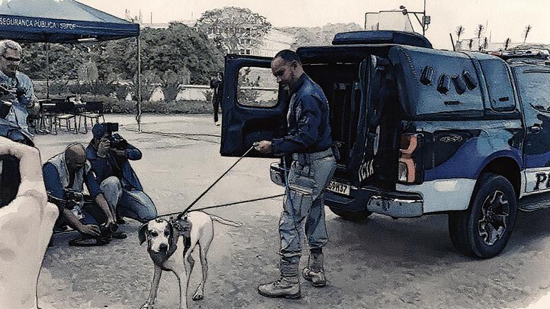 Segurança reforçada em frente ao STF durante o julgamento de Bolsonaro (Foto: Reprodução)