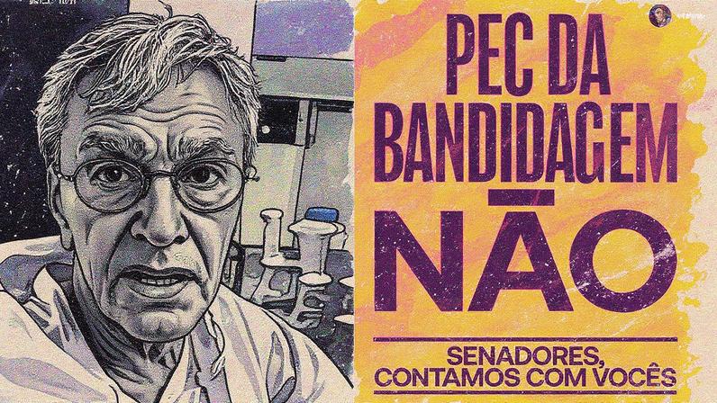 Artistas, como Caetano Veloso e Anitta, mobilizam-se em apoio à PEC da Blindagem na Câmara (Foto: Reprodução)