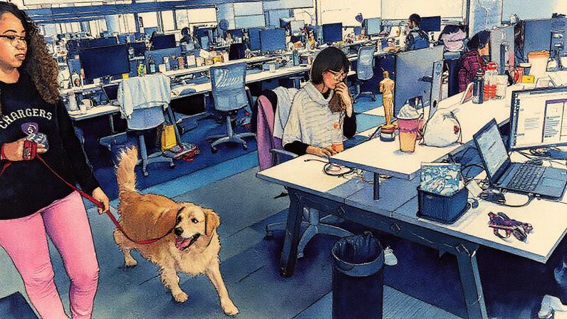 Cachorros são bem-vindos no escritório do Nubank em São Paulo (Foto: Reprodução)