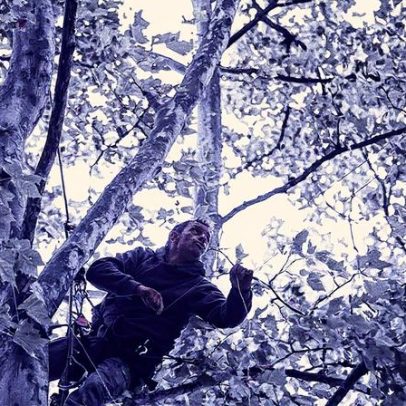 Matemática contribui para soluções inovadoras na preservação do meio ambiente