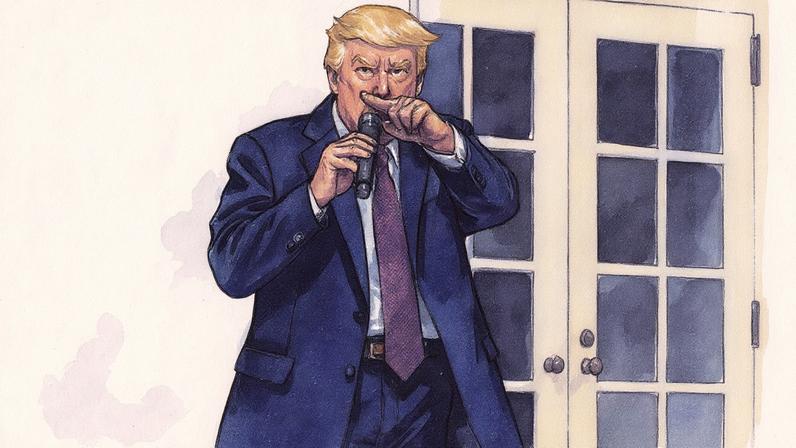 Presidente Donald Trump discursa em um jantar no Rose Garden da Casa Branca (Foto: Reprodução)
