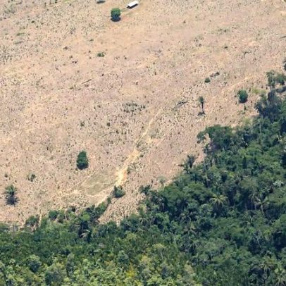 Desmatamento aumenta na Amazônia enquanto diminui no Cerrado e Pantanal