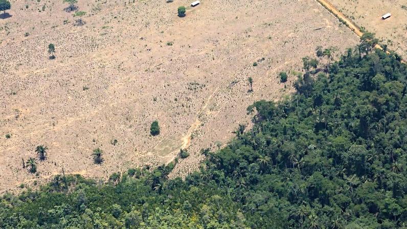 Desmatamento na Amazônia, principal fonte de emissões de efeito estufa no Brasil (Foto: Reprodução)