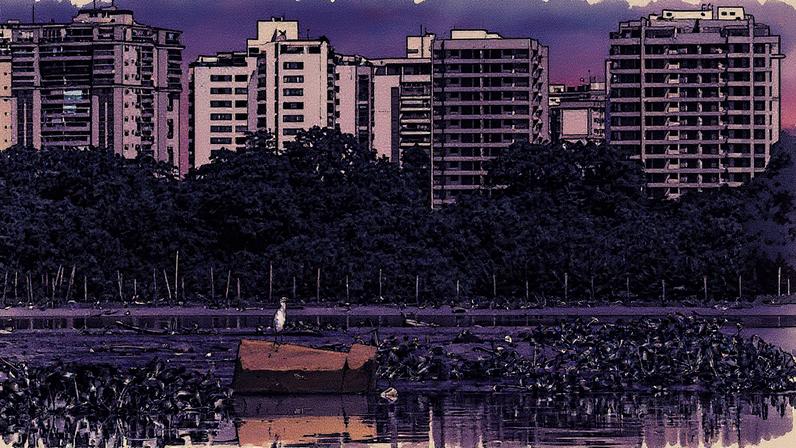 Ave pousa sobre sofá na lagoa da Tijuca, com edifícios da Barra da Tijuca ao fundo (Foto: Reprodução)