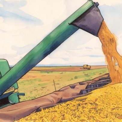 Ações do agronegócio disparam até 74% com cortes na Selic e prometem novo cenário