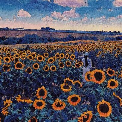 Holambra celebra a festa das flores com campos de girassóis perto de SP