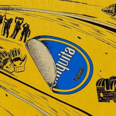 Bananas voltam a ser colhidas após fim da greve dos trabalhadores agrícolas