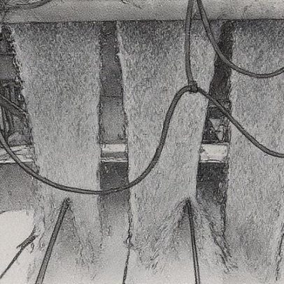 Brasil antecipa colheita de grãos de 2029 para a safra de 2025