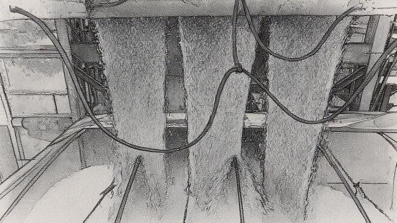 A maior produção de grãos da história do Brasil deverá ser impulsionada por marcas inéditas em diferentes produtos (Foto: Reprodução)