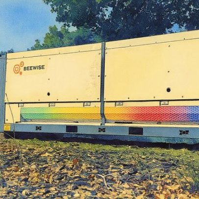 Robôs apícolas utilizam inteligência artificial para proteger abelhas das mudanças climáticas