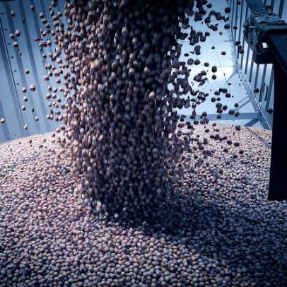 Republicanos pedem apoio urgente para agricultores em calamidade financeira nos EUA