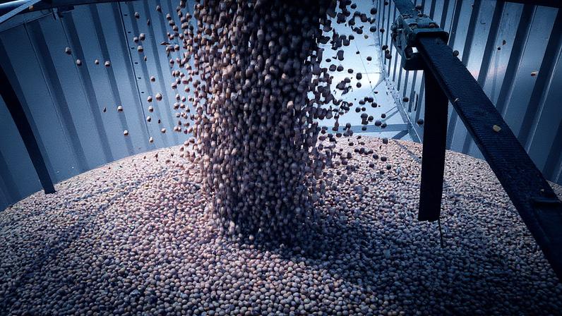Colheita de soja em um campo em Illinois, nos EUA (Foto: Reprodução)