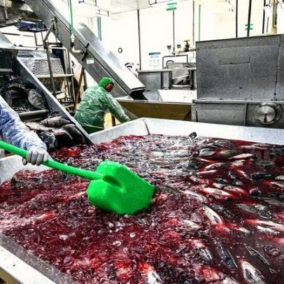 Cidades pequenas enfrentam grandes desafios após desastres naturais
