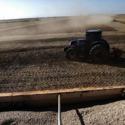 Vietnã e Indonésia ganham espaço no agronegócio brasileiro