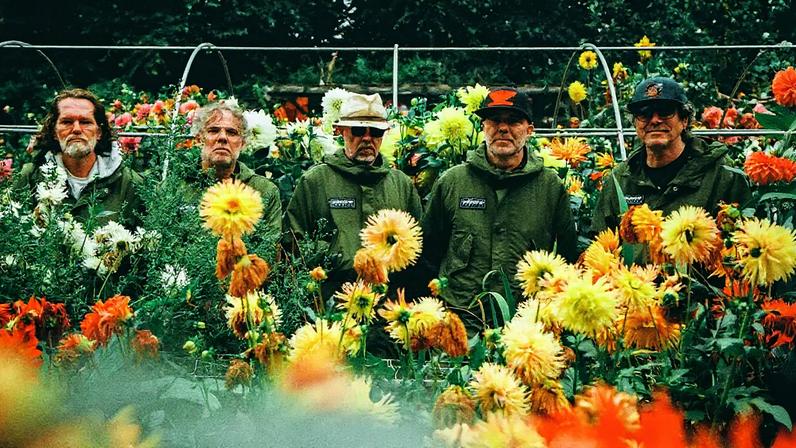 Super Furry Animals Ryan Eddelston*