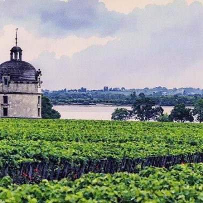 Château Latour 2012 é relançado em meio a um mercado conturbado