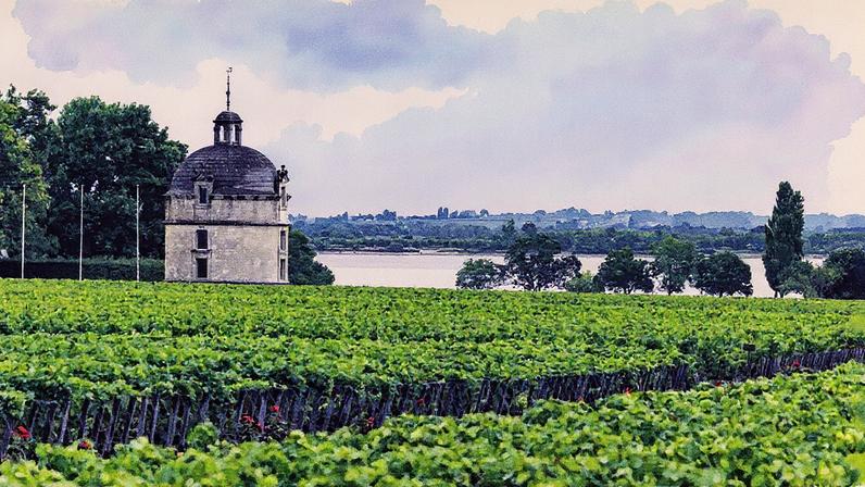 A vinícola Pauillac lançou pela primeira vez seu grand vin de 100 pontos, safra 2016, no início deste ano (Foto: Reprodução)