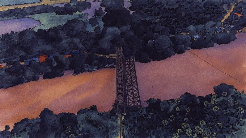 Marinalva Oriozola Barbosa, 49 anos, presidente da associação de moradores do povoado do Salobra, em comunidade ribeirinha próxima a Miranda (MS) (Foto: Reprodução)