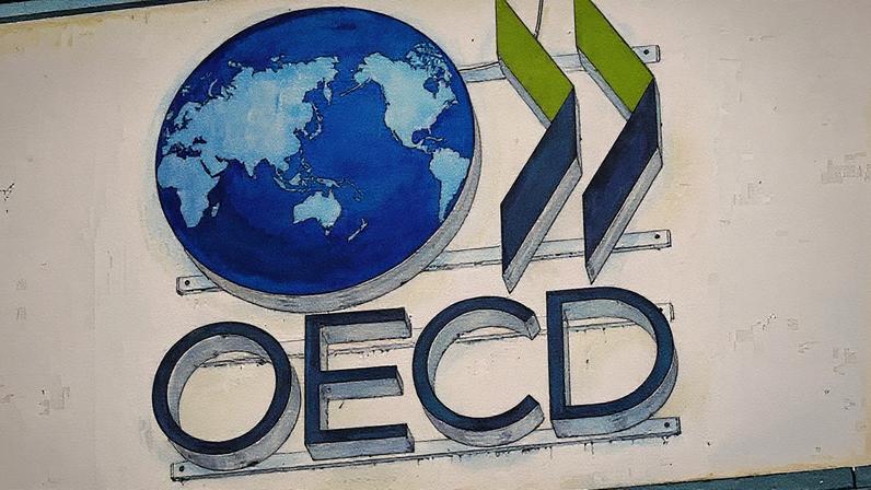 OCDE (Foto: Reprodução)