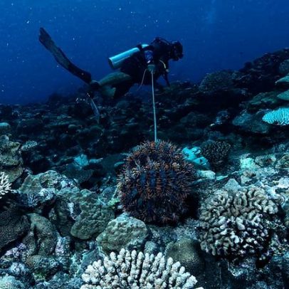 Pesquisadores identificam evento inédito no Golfo do Panamá e alertam sobre clima